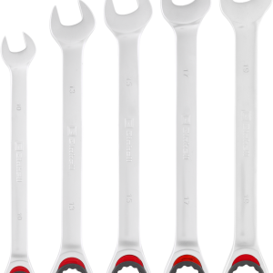 EINHELL PROFESSIONAL Gabel-Ring-Ratschenschlüssel-Set, 5-tlg. Ø 10–19 mm EINHELL PROFESSIONAL Gabel-Ring-Ratschenschlüssel-Set, 5-tlg. Ø 10–19 mm