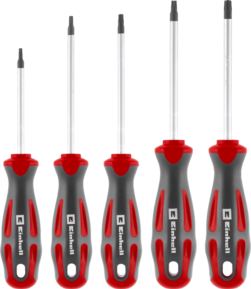 EINHELL PROFESSIONAL Schraubenzieher-Set 5-tlg. T