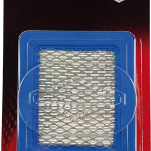 BRIGGS & STRATTON Luftfilter BRIGGS & STRATTON Luftfilter