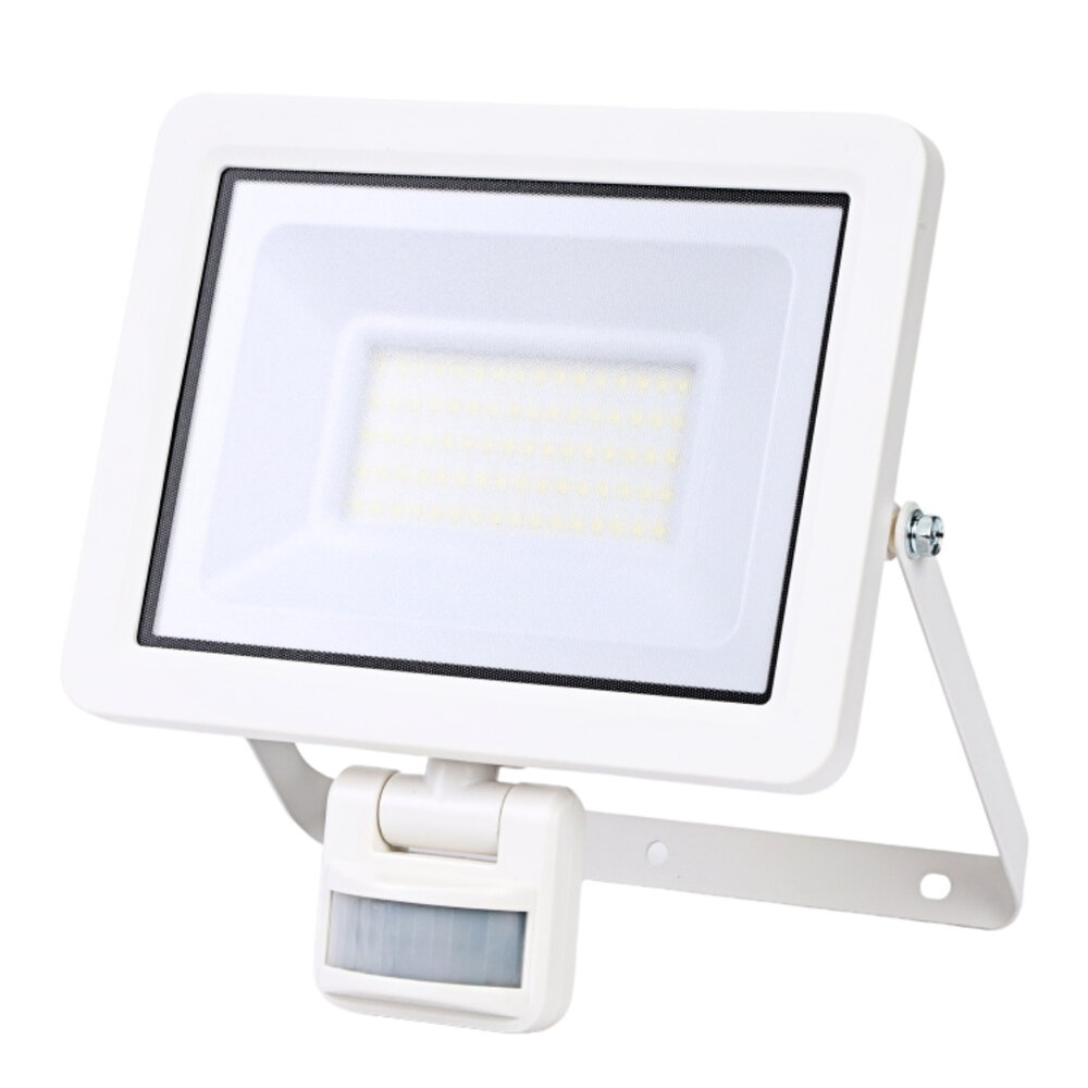ERBA LED-Strahler 50 Watt + BWM weiss