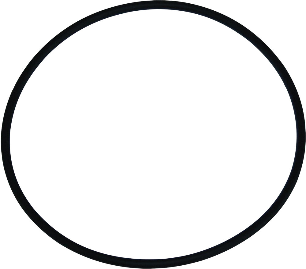 Dichtring