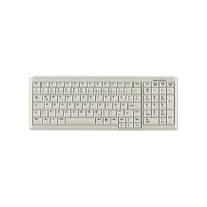 Active Key AK-7000 – Tastatur – USB – Deutsch – Hellgrau