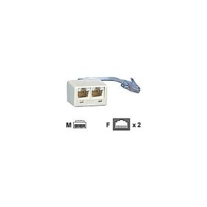 BTR – Netzwerk-Splitter – RJ-45 (M) zu RJ-45 (W) – 10 cm BTR – Netzwerk-Splitter – RJ-45 (M) zu RJ-45 (W) – 10 cm