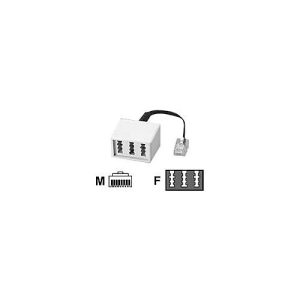 BTR – Telefonadapter – RJ-45 (M) zu TAE-NFN (W) – 10 cm BTR – Telefonadapter – RJ-45 (M) zu TAE-NFN (W) – 10 cm