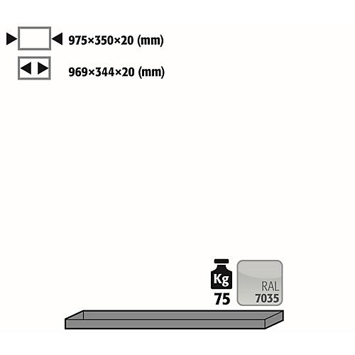 Fachboden Standard für asecos Sicherheitsschränke der UB90 Serie, Stahlblech, lichtgrau, B 975 x T 350 x H 20 mm, bis 30 kg