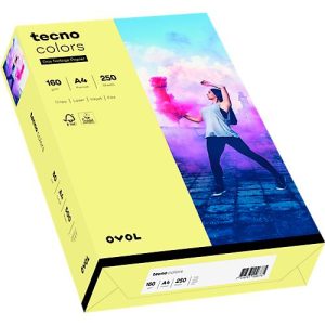 Farbiges Kopierpapier tecno colors, DIN A4, 160 g/m², hellgelb, 1 Paket = 250 Blatt Farbiges Kopierpapier tecno colors, DIN A4, 160 g/m², hellgelb, 1 Paket = 250 Blatt