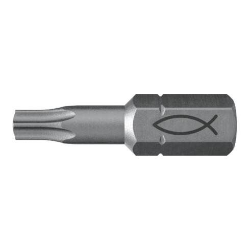 fischer Profi Bit FPB T 20