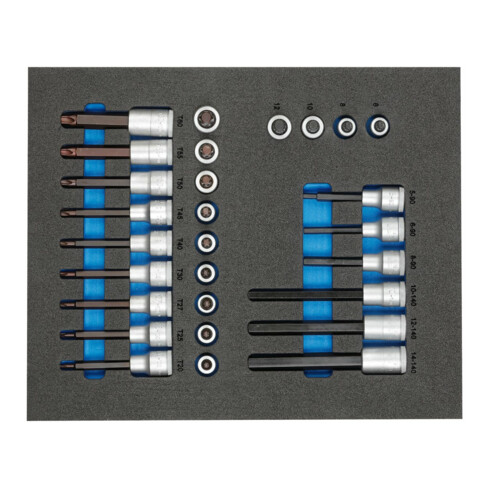 Gedore TS CT2-ITX19 Satz Schraubendrehereinsätze 1/2" in 2/4 Check-Tool-Modul