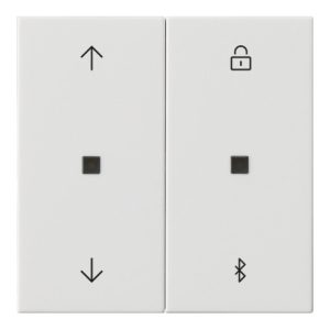 Gira Jalousie- + Schaltuhr Bluetooth Sys.55 rws 536703