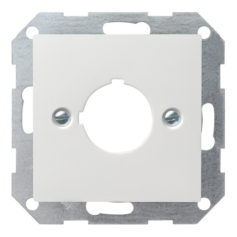 Gira Zentralplatte f.22,5 rws System55 027227