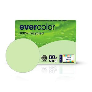 Kopierpapier EVERCOLOR, farbig, DIN A4, 80 g/m², hellgrün, 500 Blatt Kopierpapier EVERCOLOR, farbig, DIN A4, 80 g/m², hellgrün, 500 Blatt