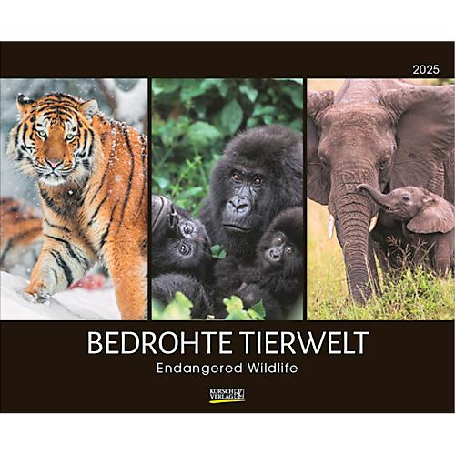 Korsch Fotokalender 'Bedrohte Tierwelt 2025', B 550 x H 455 mm