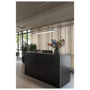 LED-Pendelleuchte SLV Worklight, 57 W, 200-240 V, Deckenmontage, DALI-Steuerung, fest eingebaute LED-Lampe, L 1200 x B 260 x H 2500 mm, silber