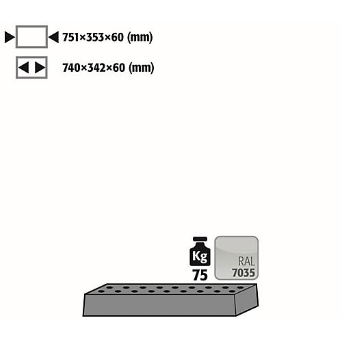 Lochblecheinsatz Standard für asecos Sicherheitsschränke der K90 und UB90 Serie, Stahlblech, lichtgrau, B 751 x T 353 x H 60 mm, bis 75 kg