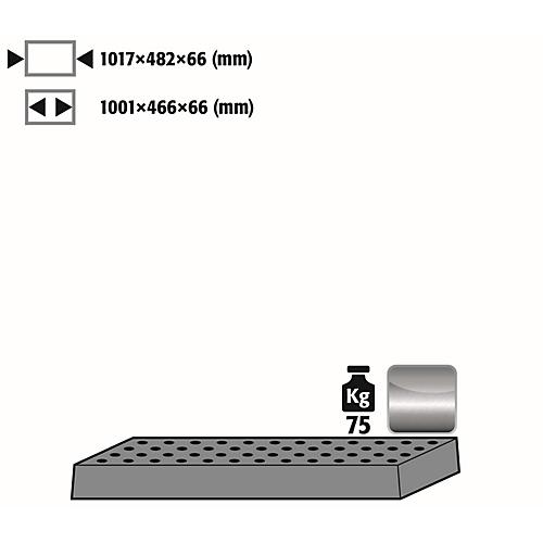 Lochblecheinsatz Standard für asecos Sicherheitsschränke der Q30, Q90 und S90 Serie, Edelstahl 1.4016, B 1017 x T 482 x H 66 mm, bis 75 kg