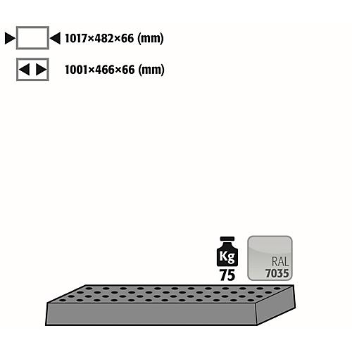 Lochblecheinsatz Standard für asecos Sicherheitsschränke der Q30, Q90 und S90 Serie, Stahlblech, lichtgrau, B 1017 x T 482 x H 66 mm, bis 75 kg