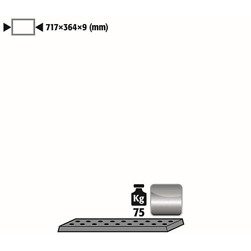 Lochblecheinsatz Standard für asecos Sicherheitsschränke der UB90 Serie, Edelstahl 1.4016, B 717 x T 364 x H 9 mm, bis 75 kg