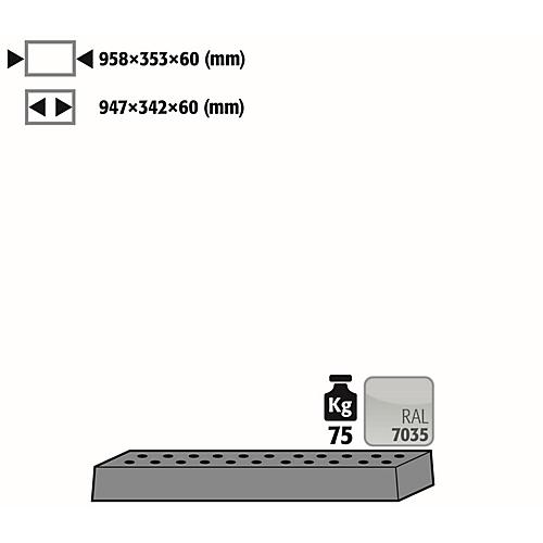 Lochblecheinsatz Standard für asecos Sicherheitsschränke der UB90 Serie, Stahlblech, lichtgrau, B 950 x T 345 x H 66 mm, bis 75 kg