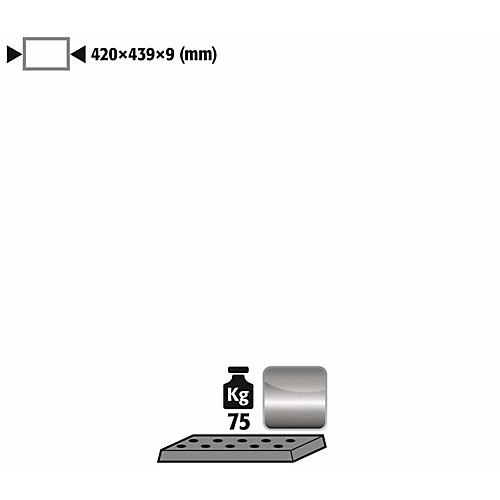 Lochblecheinsatz Standard für asecos Sicherheitsschränke der UB90 und UB30 Serie, Edelstahl 1.4016, B 417 x T 436 x H 9 mm, bis 75 kg