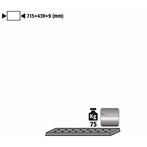 Lochblecheinsatz Standard für asecos Sicherheitsschränke der UB90 und UB30 Serie, Edelstahl 1.4016, B 717 x T 436 x H 9 mm, bis 75 kg