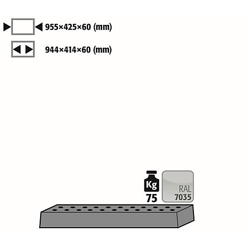 Lochblecheinsatz Standard für asecos Sicherheitsschränke der UB90 und UB30 Serie, Stahlblech, lichtgrau, B 955 x T 425 x H 60 mm, bis 75 kg