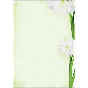 Motivpapier Sigel ‚Green Flower‘, A4, 90 g/m², Blumen-Motiv, 25 Blatt Motivpapier Sigel ‚Green Flower‘, A4, 90 g/m², Blumen-Motiv, 25 Blatt