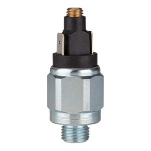 Riegler Druckschalter, Standard, Stahl verz., G 1/4, 1-10 bar, Schließer