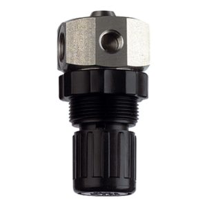 Riegler Edelstahl-Druckregler 1.4571, flüssige Medien, G 1/4, 0,2 – 6 bar Riegler Edelstahl-Druckregler 1.4571, flüssige Medien, G 1/4, 0,2 – 6 bar