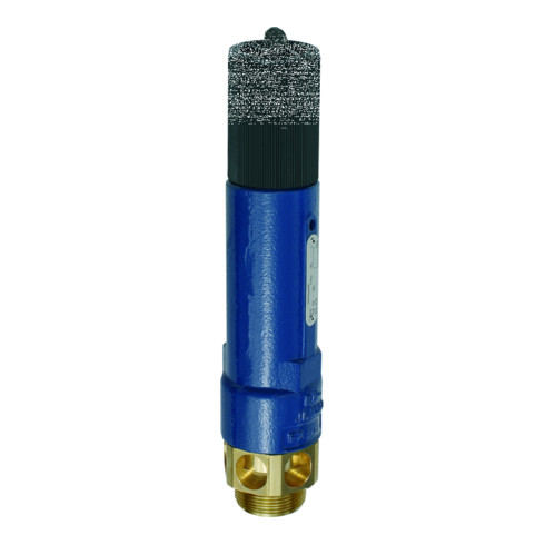 Riegler Hochleistungs-Sicherheitsventil, MS, G 2, Ansprechdruck 2,5 bar