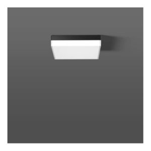RZB LED-Wand-/Deckenleuchte 830/840 312537.0031