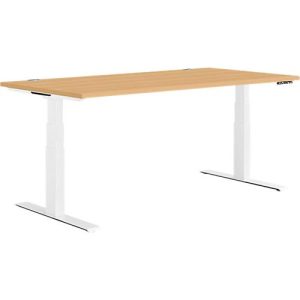 Schäfer Shop Genius Schreibtisch MODENA FLEX, elektrisch höhenverstellbar, Rechteck, T-Fuß, B 1600 x T 800 mm, Buche/weiß