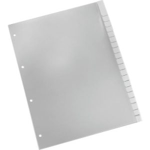 Schäfer Shop Select PP-Register mit Wechseltaben, zur freien Verwendung, Zahlen 1-20, einzeln Schäfer Shop Select PP-Register mit Wechseltaben, zur freien Verwendung, Zahlen 1-20, einzeln
