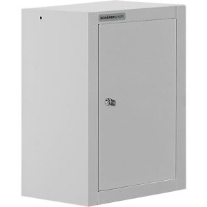 Schäfer Shop Select Wandschrank, eintürig, mit Zwischenboden, B 400 x T 320 x H 600 mm, Stahl, lichtgrau/lichtgrau