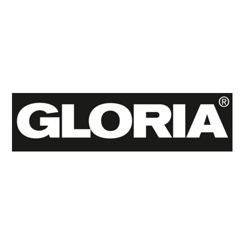 Schaumfeuerlöscher 9l Aufladegerät Brandkl.43 A 183 B m.Wandh.GLORIA