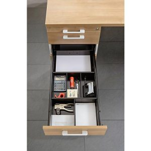 Trennsteg BARI, für Roll-/Anstellcontainer, 2 Quer- und 3 Längsstege Trennsteg BARI, für Roll-/Anstellcontainer, 2 Quer- und 3 Längsstege